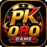 PK080 Game